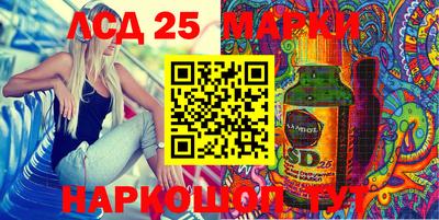 дживик Кингисепп