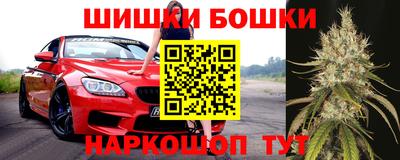 дживик Кингисепп
