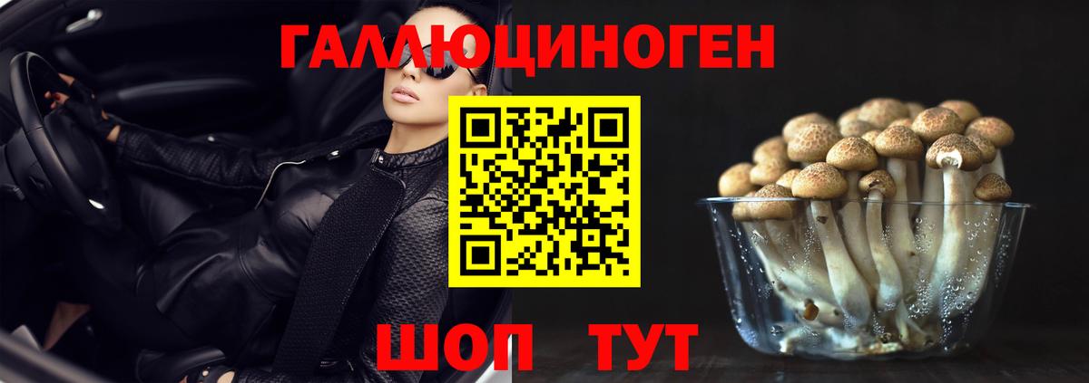 Киров  Псилоцибиновые грибы Magic Shrooms  Вход с VPN 